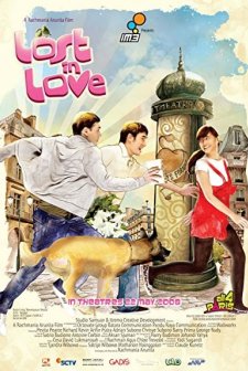 Kayıp Aşk (2008) afişi