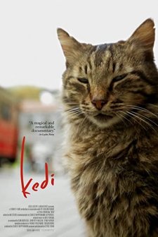 Kedi (2016) afişi