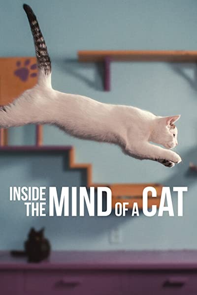 Inside the Mind of a Cat (2022) afişi Inside the Mind of a Cat (2022) afişi