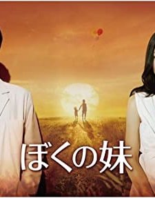 Kız Kardeşim (2009) afişi