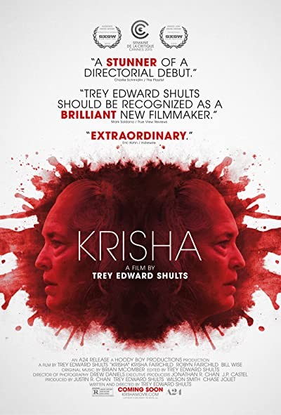 Krisha (2015) afişi Krisha (2015) afişi