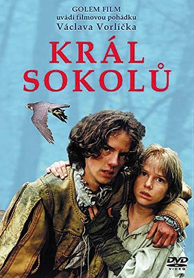 Král Sokolu (2000) afişi Král Sokolu (2000) afişi