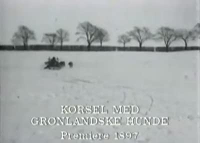 Kørsel Med Grønlandske Hunde (1897) afişi Kørsel Med Grønlandske Hunde (1897) afişi
