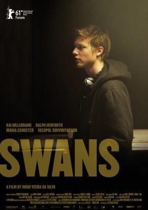 Kuğular (2011) afişi Kuğular (2011) afişi