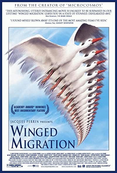 Kuşlar Kanatlı Uygarlık (2001) afişi Kuşlar Kanatlı Uygarlık (2001) afişi