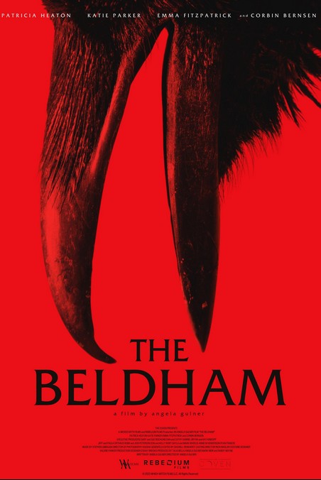 Kocakarı (2025) afişi