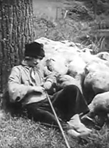 La Fille De Delft (1914) afişi