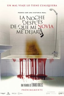 La noche después de que mi novia me dejara afişi