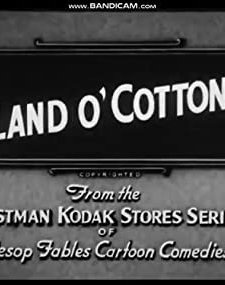 Land O' Cotton