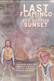 Last Flamingo of the Red Summer Sunset (2023) afişi