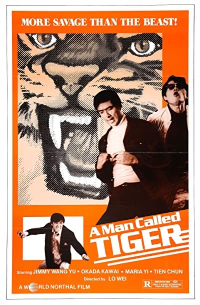 Leng Mian Hu (1973) afişi Leng Mian Hu (1973) afişi