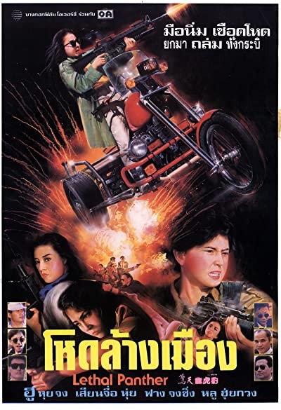 Lethal Panther (1990) afişi Lethal Panther (1990) afişi