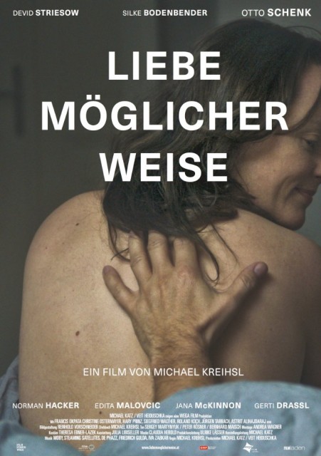 Liebe möglicherweise  (2016) afişi Liebe möglicherweise  (2016) afişi
