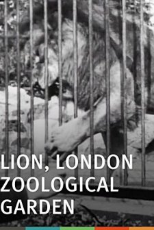 Lion, London Zoological Garden (1896) afişi