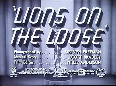 Lions On The Loose (1941) afişi Lions On The Loose (1941) afişi