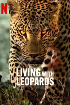Living with Leopards