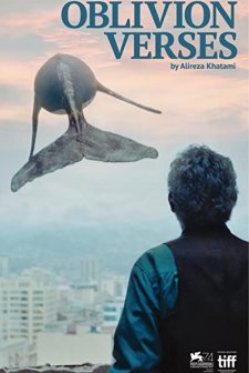 Los Versos del Olvido (2017) afişi