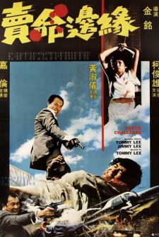 Mai Ming Bian Yuan (1977) afişi