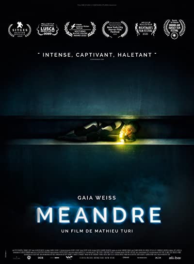 Meander (2020) afişi Meander (2020) afişi
