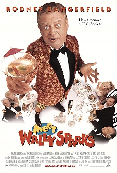 Meet Wally Sparks (1997) afişi Meet Wally Sparks (1997) afişi