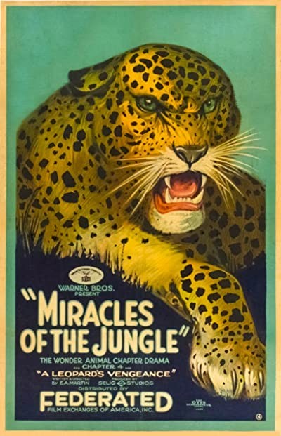 Miracles Of The Jungle (1921) afişi Miracles Of The Jungle (1921) afişi