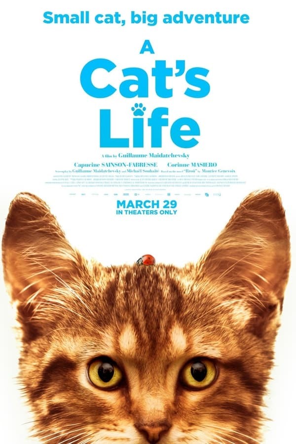 Mon chat et moi, la grande aventure de Rroû (2023) afişi Mon chat et moi, la grande aventure de Rroû (2023) afişi