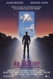 Mr. Destiny (1990) afişi