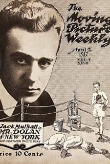 Mr. Dolan Of New York (1917) afişi