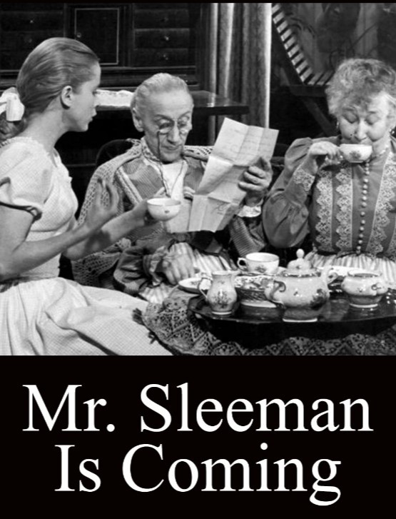 Mr. Sleeman Is Coming (1957) afişi Mr. Sleeman Is Coming (1957) afişi