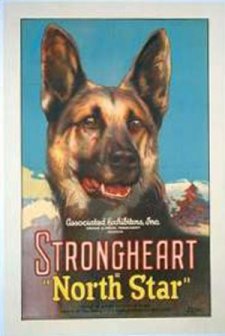 North Star (1925) afişi