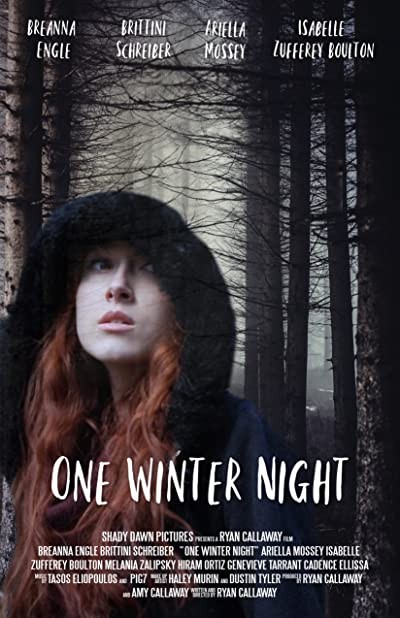 One Winter Night (2019) afişi One Winter Night (2019) afişi