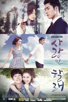 Only Love (2014) afişi