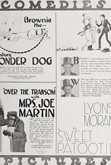 Over The Transom (1920) afişi