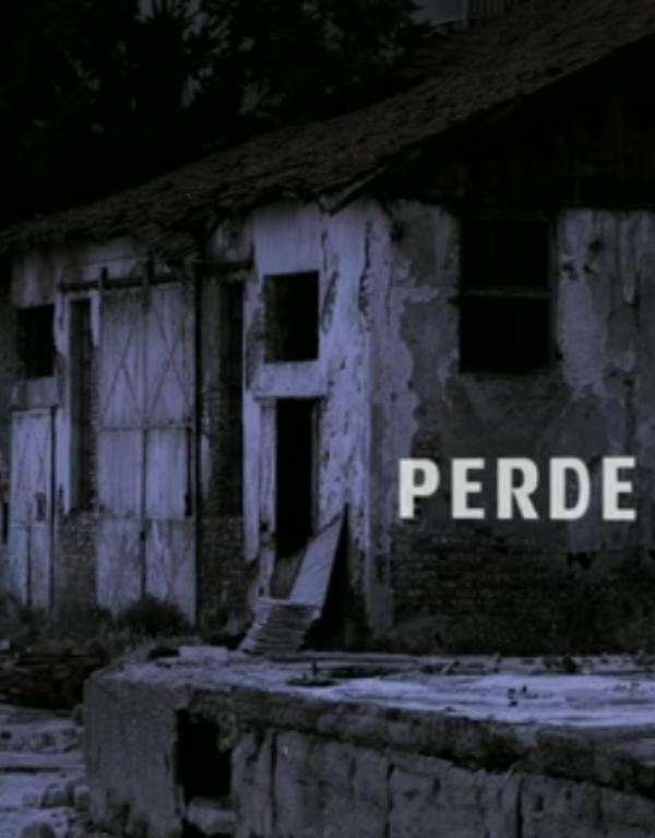 Perde(ı) (2010) afişi Perde(ı) (2010) afişi