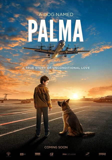 Palma (2021) afişi Palma (2021) afişi