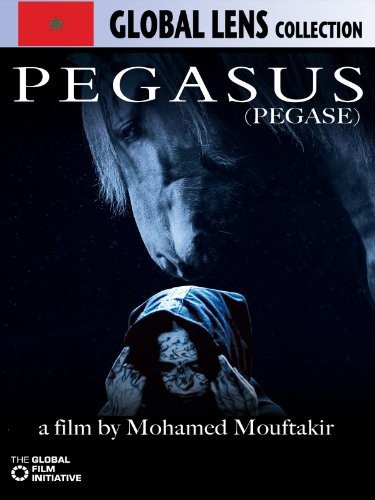 Pegasus (2010) afişi Pegasus (2010) afişi