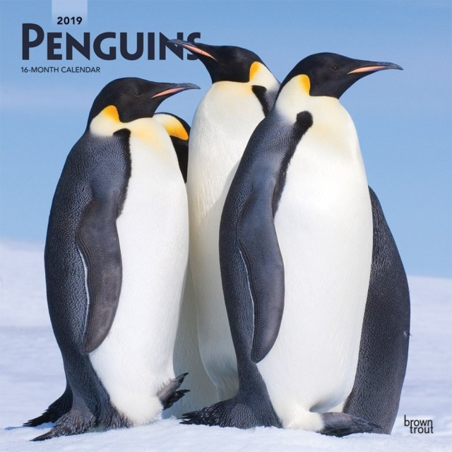 Penguins (2019) afişi Penguins (2019) afişi