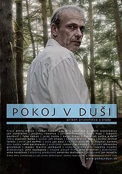 Pokoj V Dusi (2009) afişi Pokoj V Dusi (2009) afişi