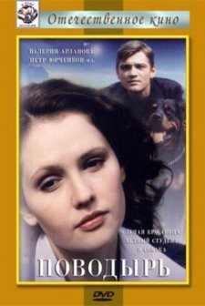 Povodyr (2001) afişi