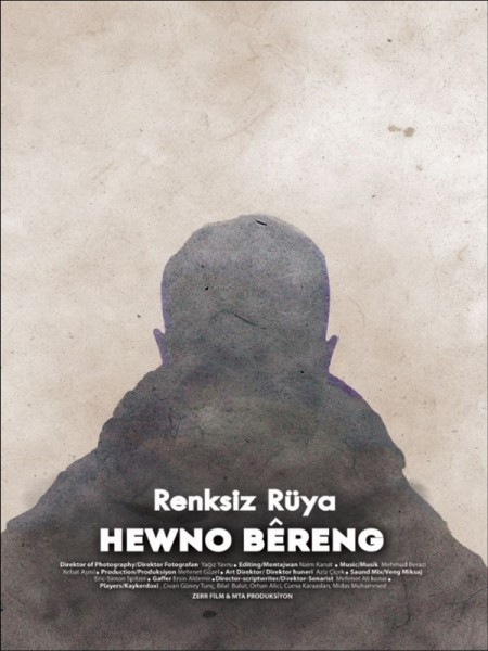 Renksiz Rüya (2017) afişi