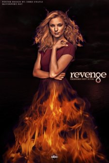 Revenge (2011) afişi