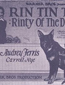 Rinty Of The Desert (1928) afişi