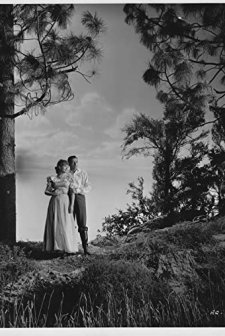 Roaring Guns (1944) afişi