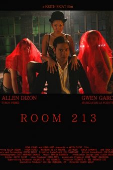 Room 213 (2008) afişi