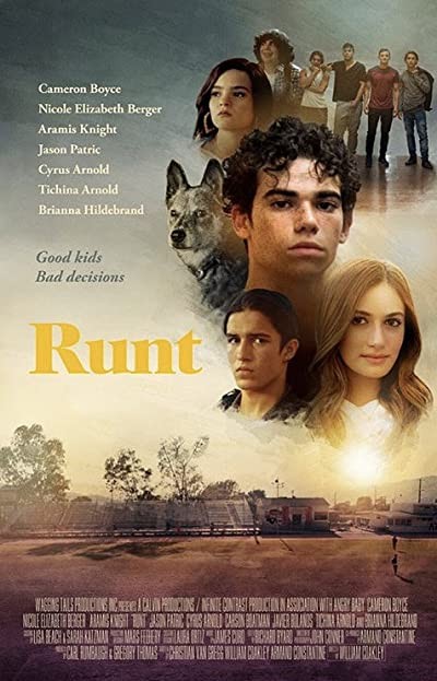 Runt (2018) afişi Runt (2018) afişi