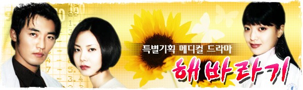 Sunflower (1998) afişi Sunflower (1998) afişi