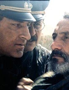 Salandar (1994) afişi