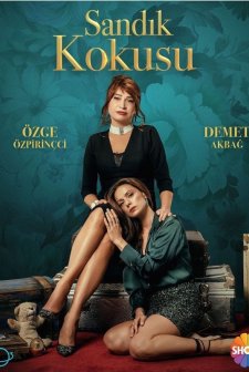 Sandık Kokusu (2023) afişi