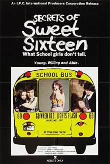 Secrets Of Sweet Sixteen