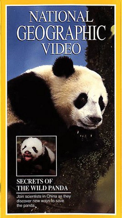 Secrets of the Wild Panda (1995) afişi Secrets of the Wild Panda (1995) afişi